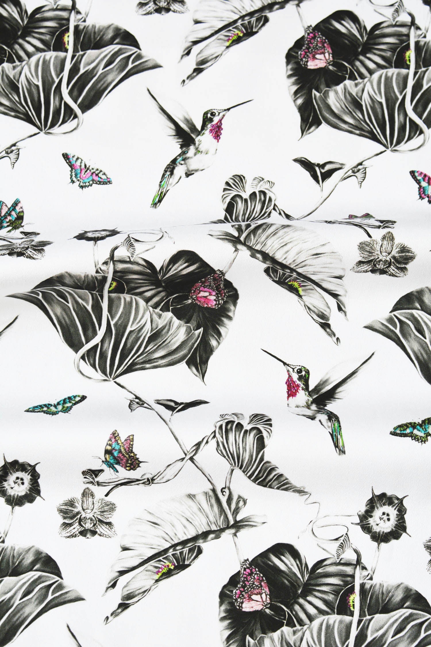 Pink hummingbirds fabric for home interiors.