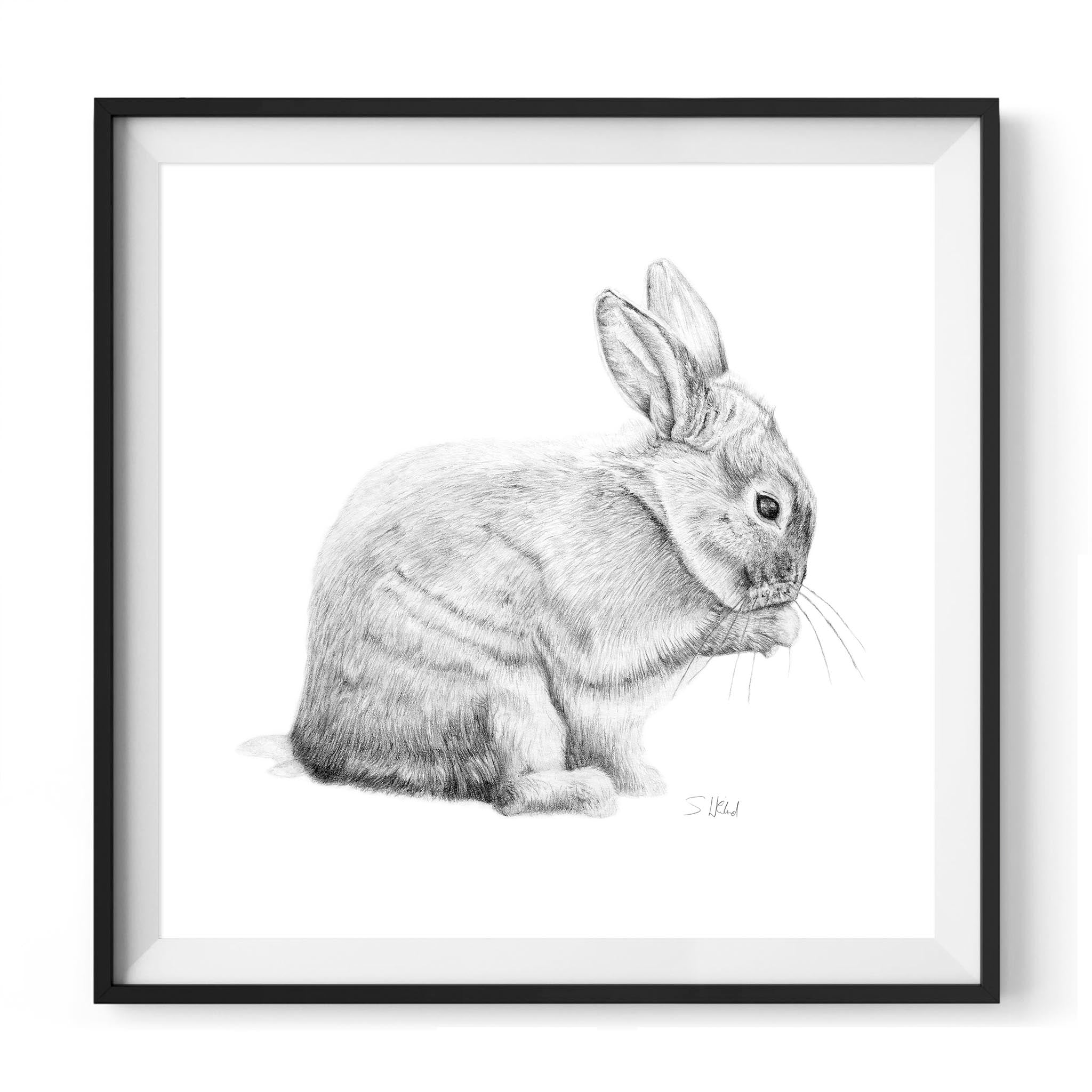 Rabbit pencil drawing printable wall art – Little Dear Shop